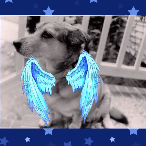 Meet your Posher, Shelley - Picture 7 of 10